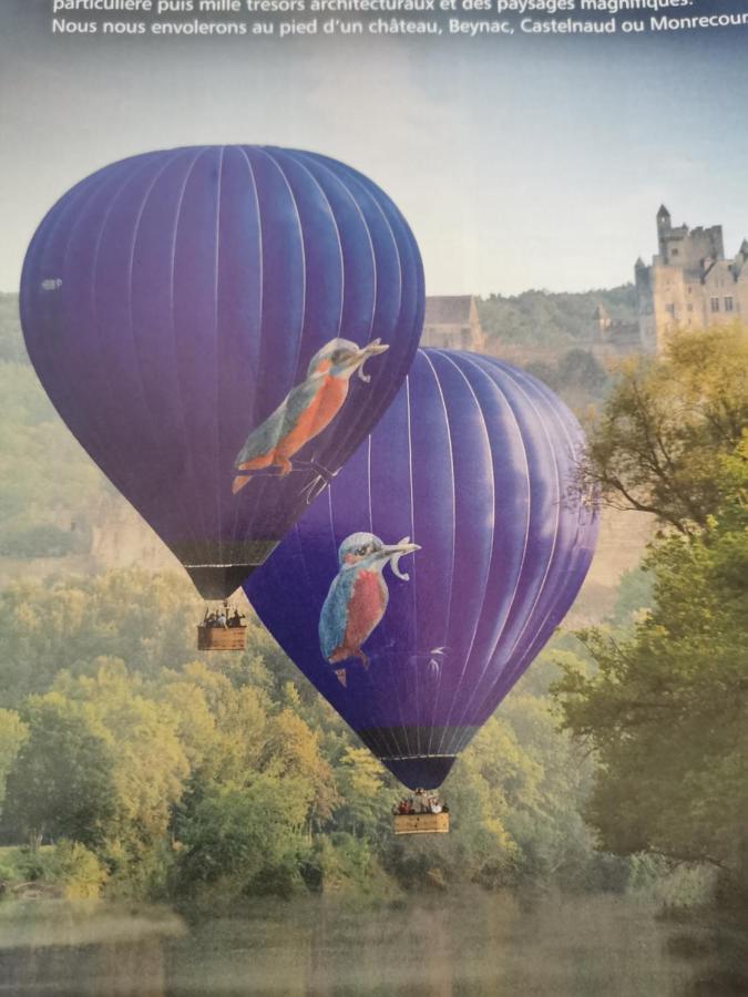 Gite La Borie Du Bois Sarlat Saint-Andre-d'Allas Exteriör bild